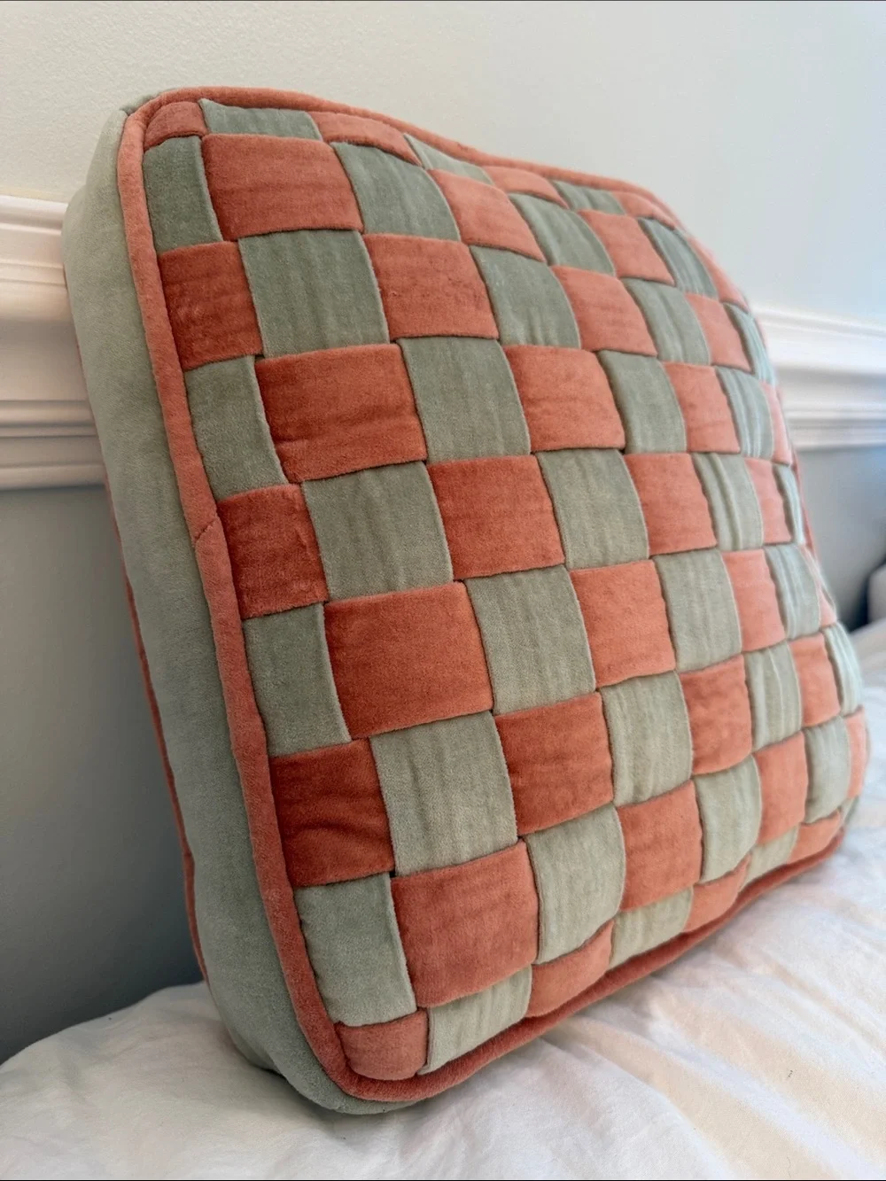 Crate & Barrel Harriet Velvet Square Pillow - A Pair